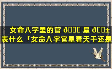 女命八字里的官 🐕 星 🐱 代表什么「女命八字官星看天干还是地支」